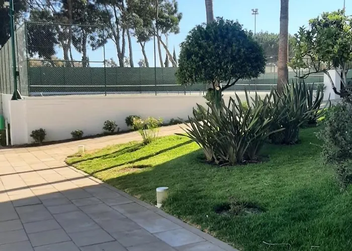 Da Rocha Torre -