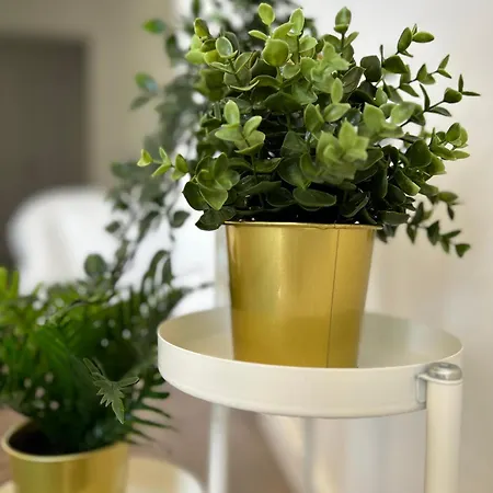 Da Rocha Torre - Appartement Portimão